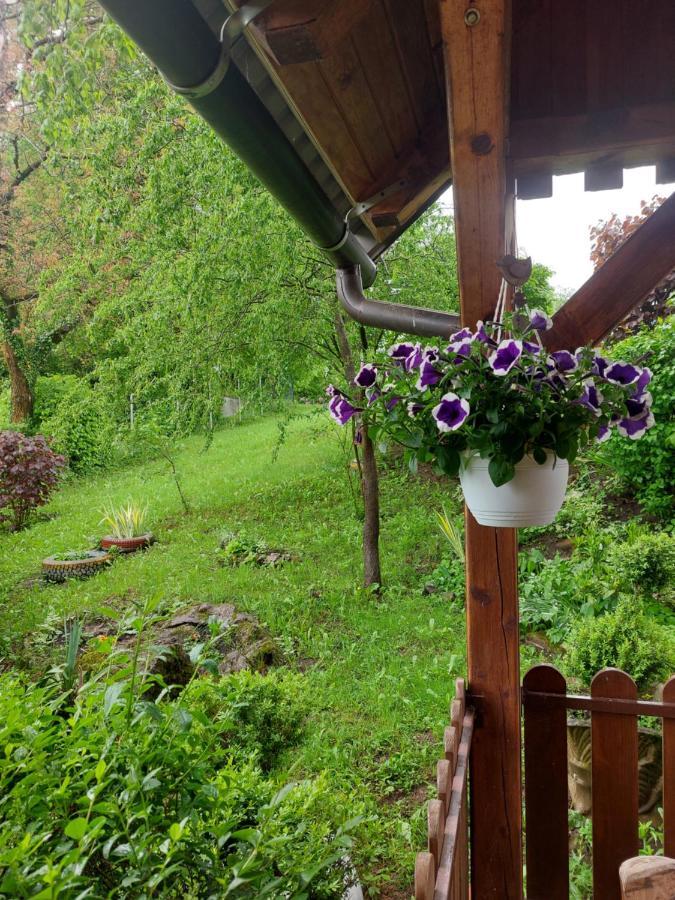 Villa Kuca Za Odmor Anamarija à Ogulin Extérieur photo