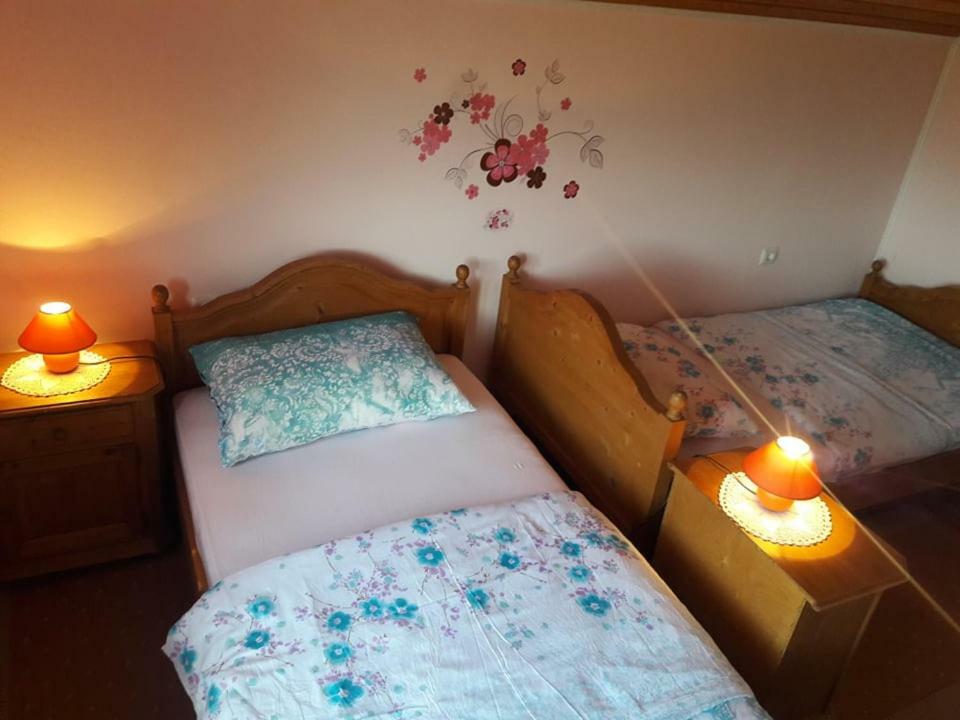 Villa Kuca Za Odmor Anamarija à Ogulin Extérieur photo